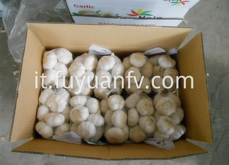 500g garlic in mesh bag